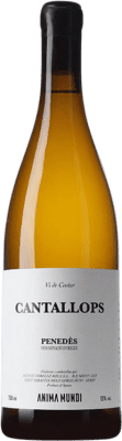 24,95 € Spedizione Gratuita | Vino Bianco AT Roca Anima Mundi Cantallops D.O. Penedès Catalogna Spagna Xarel·lo 75 cl