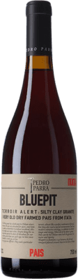 56,95 € Free Shipping | Red Wine Pedro Parra Bluepit I.G. Valle del Itata Itata Valley Chile Cinsault 75 cl