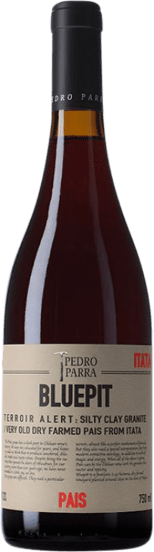 56,95 € Free Shipping | Red Wine Pedro Parra Bluepit I.G. Valle del Itata Itata Valley Chile Cinsault 75 cl