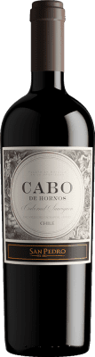 118,95 € Envio grátis | Vinho Tinto Viña San Pedro Cabo de Hornos Especial Reserva I.G. Valle Central Vale Central Chile Syrah, Cabernet Sauvignon, Malbec 75 cl