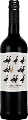 13,95 € Бесплатная доставка | Красное вино Markus Pfaffmann Ganswein Германия 75 cl