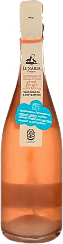 12,95 € Envio grátis | Vinho Rosé Bio Cantina Orsogna Lunaria Ramoro I.G.T. Terre di Chieti Abruzzo Itália Pinot Cinzento 75 cl