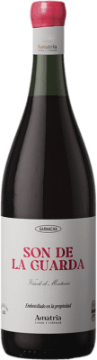 29,95 € 免费送货 | 红葡萄酒 Amatria Son de la Guarda D.O. Navarra 纳瓦拉 西班牙 Garnacha — 歌海娜 75 cl
