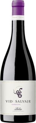 24,95 € Envoi gratuit | Vin Rouge Paraísos Perdidos Vida Salvaje D.O. Bullas Région de Murcie Espagne Garnacha — Grenache 75 cl