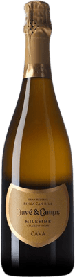 45,95 € 免费送货 | 白起泡酒 Juvé y Camps Millésimé D.O. Cava 加泰罗尼亚 西班牙 Chardonnay — 莎当妮 75 cl