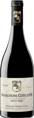 31,95 € Envío gratis | Vino Tinto Domaine Fabien Coche A.O.C. Bourgogne Côte d'Or Borgoña Francia Pinot Negro 75 cl