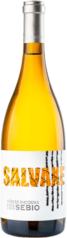 33,95 € Envoi gratuit | Vin Blanc Viños de Encostas Salvaxe D.O. Ribeiro Galice Espagne Godello, Treixadura, Albariño — Albarinho, Verdello 75 cl