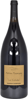 123,95 € Envío gratis | Vino Tinto Antoine Sanzay Les Echalas A.O.C. Saumur-Champigny Loire Francia Cabernet Franc Botella Magnum 1,5 L