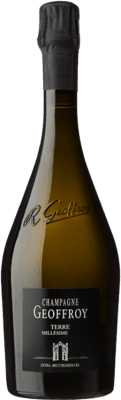 446,95 € 送料無料 | 白のスパークリングワイン Geoffroy Terre Brut Nature — ブリュット・ナチュール Millésimé A.O.C. Champagne シャンパン フランス Pinot Meunier — ピノ・ムニエ マグナムボトル 1,5 L