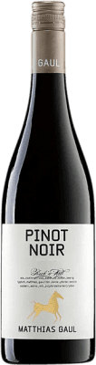 18,95 € 免费送货 | 红葡萄酒 Matthias Gaul Trocken — 干型 Q.b.A. Pfälz 普法尔茨 德国 Pinot Noir — 黑皮诺 75 cl