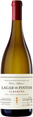 14,95 € 免费送货 | 白葡萄酒 Lagar de Pintos D.O. Rías Baixas 加利西亚 西班牙 Albariño — 阿尔巴利诺 75 cl
