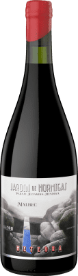 58,95 € Envoi gratuit | Vin Rouge Altos Las Hormigas Meteora I.G. Mendoza Mendoza Argentine Malbec 75 cl