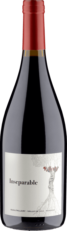59,95 € Бесплатная доставка | Красное вино PerSe. Inseparable I.G. Mendoza Мендоса Аргентина Malbec — Мальбек 75 cl