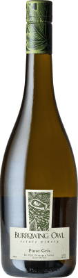 35,95 € Free Shipping | White Wine Burrowing Owl V.G.A. Okanagan Valley Canada Pinot Gris 75 cl