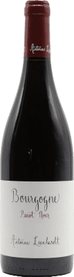 62,95 € 送料無料 | 赤ワイン Antoine Lienhardt A.O.C. Bourgogne ブルゴーニュ フランス Pinot Noir — ピノ・ノワール 75 cl