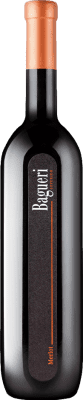 28,95 € 送料無料 | 赤ワイン Klet Brda Bagueri I.G. Primorska Goriška Brda スロベニア Merlot — メルロー 75 cl