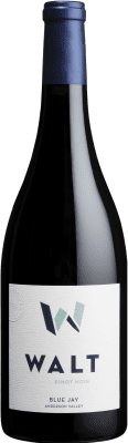 89,95 € Envoi gratuit | Vin Rouge Hall Blue Jay Californie États Unis Pinot Noir 75 cl