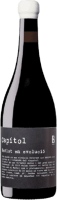 39,95 € Envoi gratuit | Vin Rosé Bernaví Capítol D.O. Terra Alta Catalogne Espagne Morenillo 75 cl