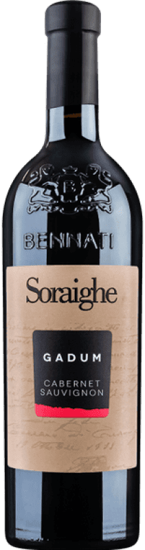 16,95 € 免费送货 | 红葡萄酒 Bennati Gadum Seco — 干型 I.G.T. Veneto 威尼托 意大利 Cabernet Sauvignon — 赤霞珠 75 cl