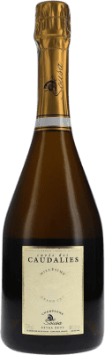 241,95 € Envío gratis | Espumoso Blanco De Sousa Caudalies Extra Brut Grand Cru, Cuvée, Millésimé A.O.C. Champagne Champagne Francia Chardonnay 75 cl