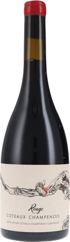 121,95 € 送料無料 | 赤ワイン De Sousa Rouge ドライ A.O.C. Coteaux Champenoise シャンパン フランス Pinot Black ボトル 75 cl