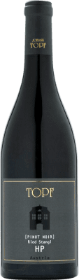 61,95 € Envío gratis | Vino tinto Johann Topf Ried Stangl HP Austria Pinot Negro Botella 75 cl