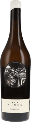 48,95 € Envío gratis | Vino blanco Johannes Zillinger Numen Seco D.A.C. Weinviertel Austria Moscatel Botella 75 cl