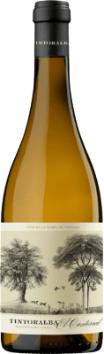 11,95 € Envoi gratuit | Vin blanc Tintoralba El Cantorral Blanc de Noir Jeune D.O. Almansa Castilla La Mancha Espagne Bouteille 75 cl