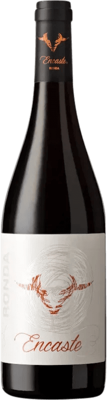 14,95 € Envío gratis | Vino tinto Doña Felisa Encaste Cosecha D.O. Sierras de Málaga España Tempranillo, Syrah, Garnacha Botella 75 cl