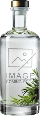 10,95 € Envío gratis | Ginebra Nadal Giró Mystic CISA España Botella 1 L