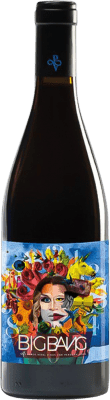 18,95 € Free Shipping | Red wine Pablo Vidal Big Bang D.O. Ribeiro Galicia Spain Sousón, Brancellao, Ferrol Bottle 75 cl