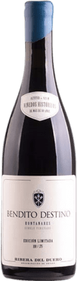 128,95 € Envio grátis | Vinho tinto Bendito Destino Hontanares D.O. Ribera del Duero Castela e Leão Espanha Tempranillo, Grenache, Torrontés, Albillo Garrafa 75 cl