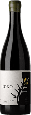 21,95 € Envío gratis | Vino tinto Olga Verde Toxo Villa de San Clemente D.O. Bierzo Castilla y León España Mencía, Merenzao Botella 75 cl