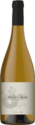 62,95 € 免费送货 | 白酒 Michelini i Mufatto Sierra de las Palmas 乌拉圭 Albariño 瓶子 75 cl