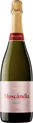 Muscàndia Rosé Pinot Black エキストラブラット 予約 75 cl