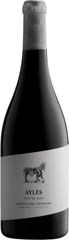 22,95 € Envío gratis | Vino tinto Pago de Aylés Cuesta del Herrero D.O.P. Vino de Pago Aylés España Tempranillo, Merlot, Garnacha, Cabernet Sauvignon Botella Magnum 1,5 L