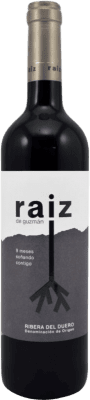 Raiz de Guzmán 9 Meses Tempranillo Joven 75 cl