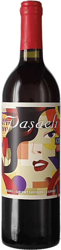 16,95 € Envoi gratuit | Vin rouge Paşaeli Karasakiz Turquie Cabernet Sauvignon Bouteille 75 cl