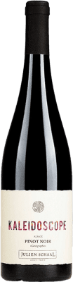 26,95 € Spedizione Gratuita | Vino rosso Julien Schaal Kaleidoscope Tinto A.O.C. Alsace Alsazia Francia Pinot Nero Bottiglia 75 cl