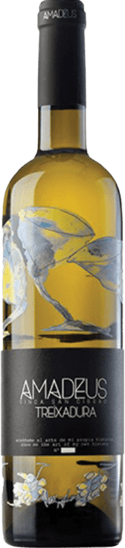 18,95 € Envio grátis | Vinho Branco Vinigalicia Amadeus D.O. Ribeiro Espanha Treixadura 75 cl