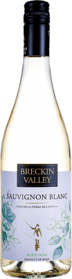 6,95 € Бесплатная доставка | Белое вино Faustino Rivero Breckin Valley I.G.P. Vino de la Tierra de Castilla Испания Sauvignon — Совиньон 75 cl Винтовая крышка