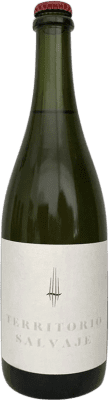 29,95 € Envio grátis | Espumante branco Territorio Luthier Ancestral Blanco D.O. Ribera del Duero Espanha Albillo Garrafa 75 cl