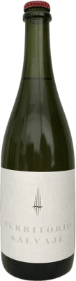 29,95 € Spedizione Gratuita | Spumante bianco Territorio Luthier Ancestral Blanco D.O. Ribera del Duero Spagna Albillo Bottiglia 75 cl