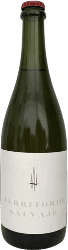 29,95 € Envio grátis | Espumante branco Territorio Luthier Ancestral Blanco D.O. Ribera del Duero Espanha Albillo Garrafa 75 cl