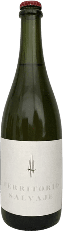 29,95 € Kostenloser Versand | Weißer Sekt Territorio Luthier Ancestral D.O. Ribera del Duero Spanien Albillo Flasche 75 cl