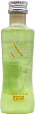 2,95 € 免费送货 | 金酒 Gin Ampersand 英国 小瓶装 5 cl Melón — 甜瓜