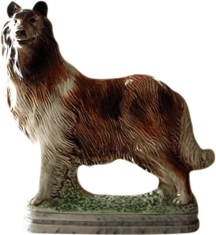 318,95 € Free Shipping | Spirits Garnier Frambuesa de L'Archede Collie Berger France Bottle 70 cl