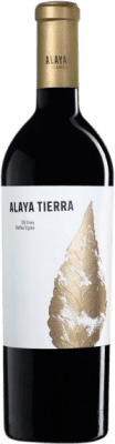 77,95 € Free Shipping | Red wine Gil Family Alaya Tierra D.O. Almansa Castilla la Mancha Spain Grenache Tintorera Magnum Bottle 1,5 L