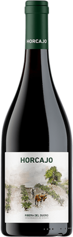 212,95 € Free Shipping | Red wine Cepa 21 Horcajo D.O. Ribera del Duero Castilla y León Spain Tempranillo Magnum Bottle 1,5 L