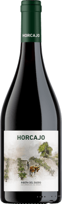 109,95 € Free Shipping | Red wine Cepa 21 Horcajo D.O. Ribera del Duero Castilla y León Spain Tempranillo Bottle 75 cl